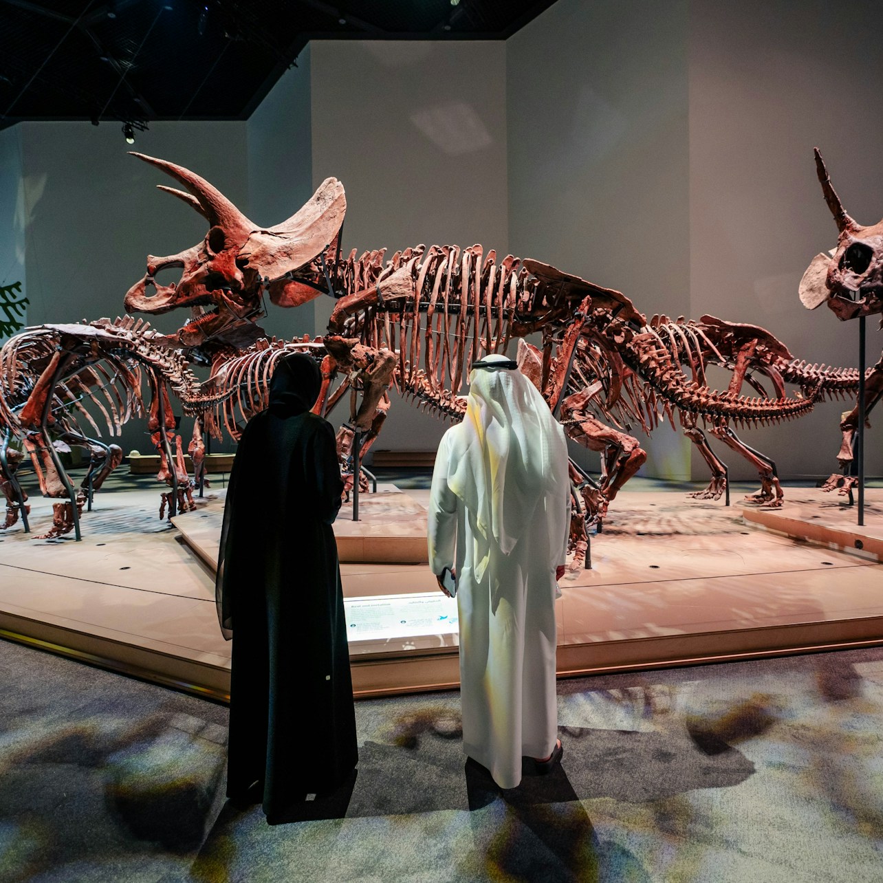Modern architecture of Natural History Museum Abu Dhabi with leaf-shaped structures