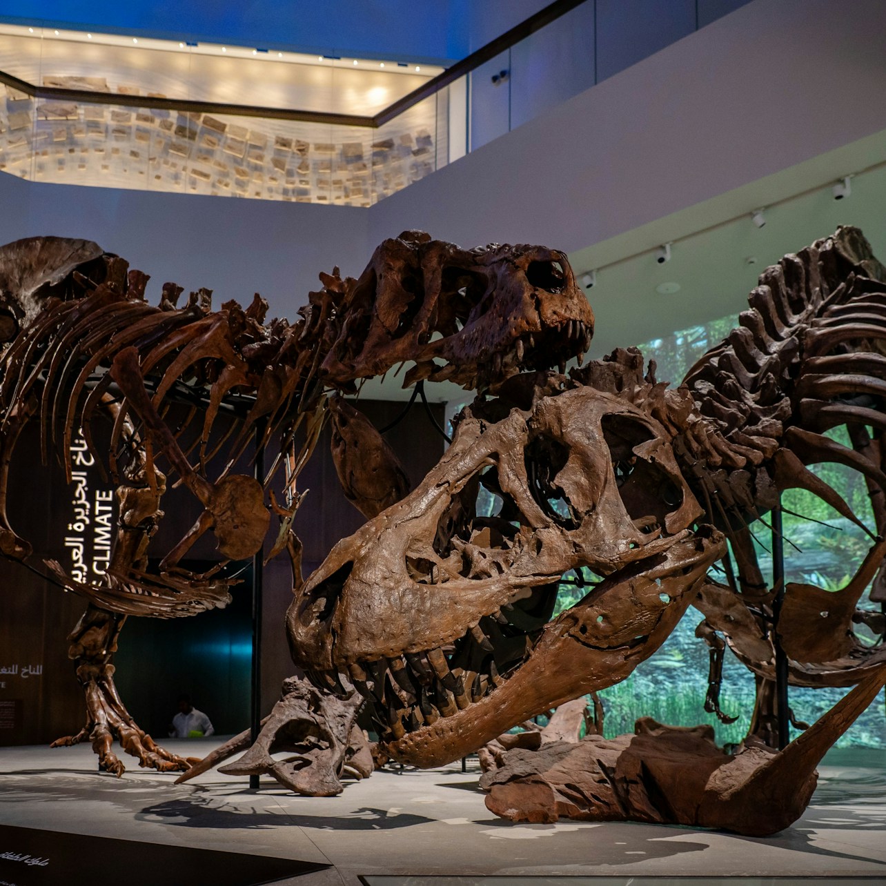 Interactive exhibitions and thematic galleries of the museum