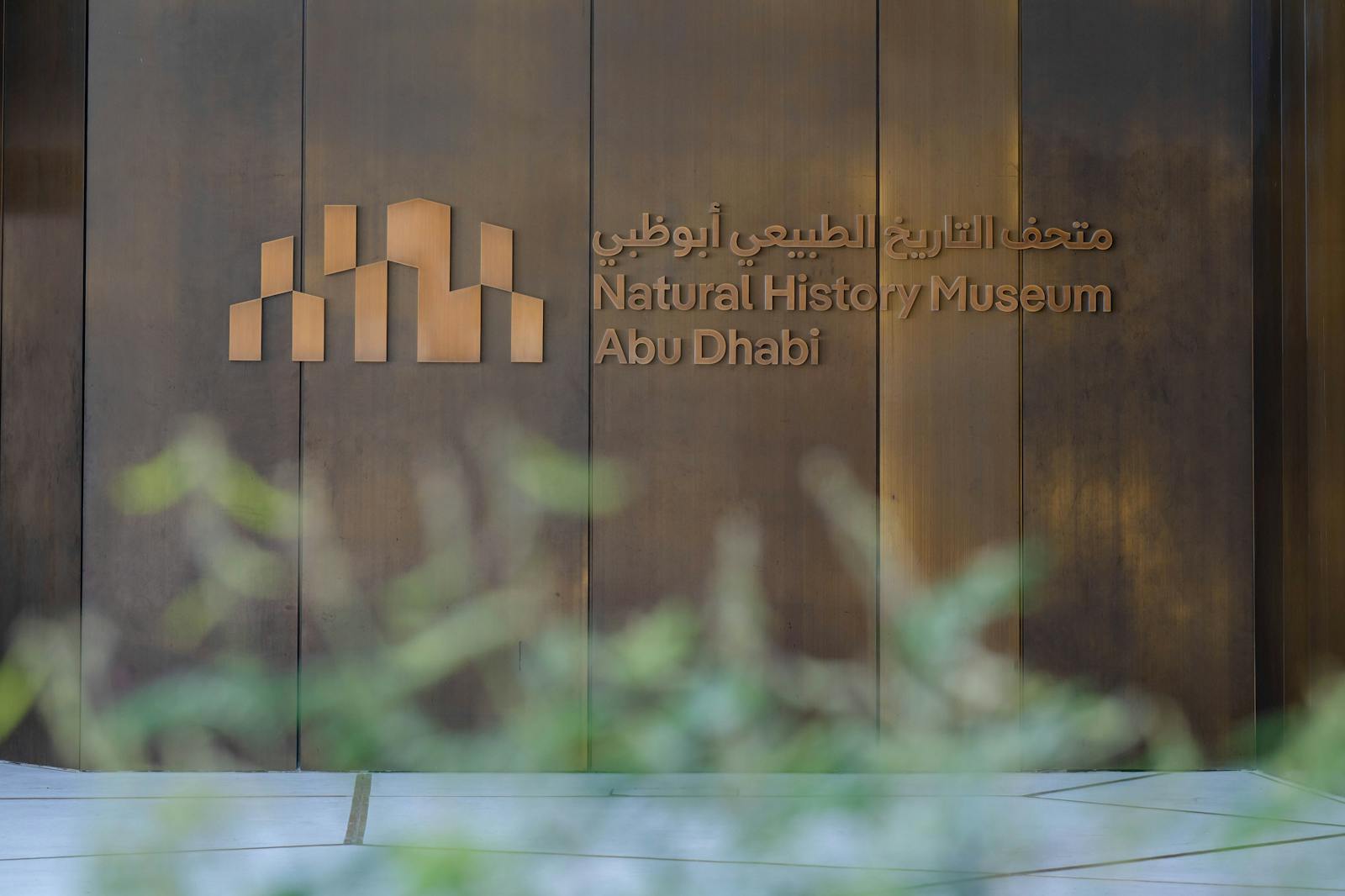 le Muséum d'histoire naturelle d'Abou Dabi vu à travers des feuilles floues